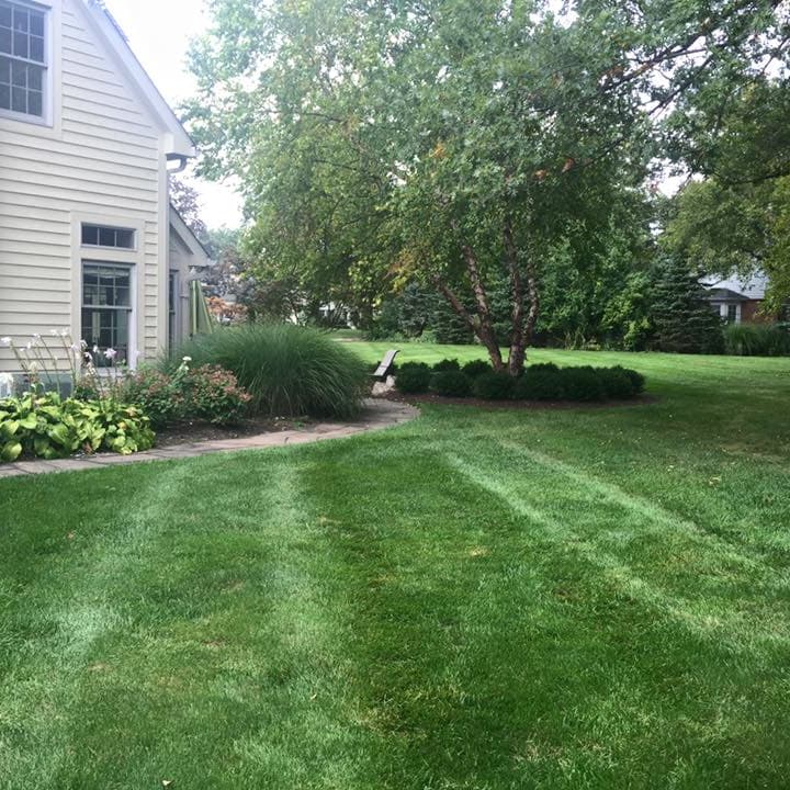 Lawn Renovation