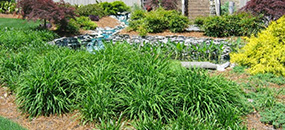 Landscape Services